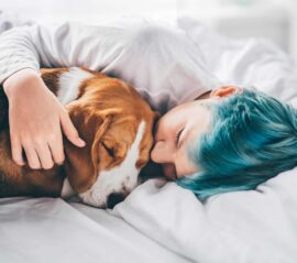 Emotional Support Animal Letter